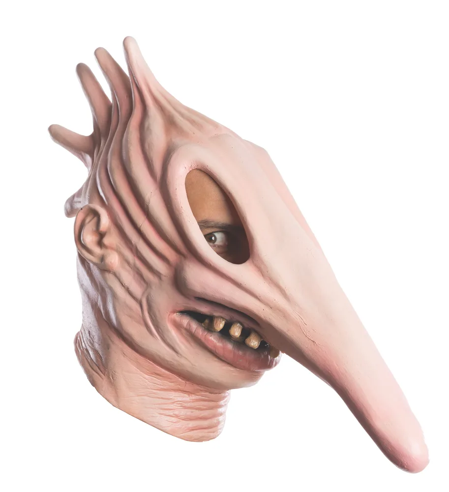 Adults Beetlejuice Adam Mask