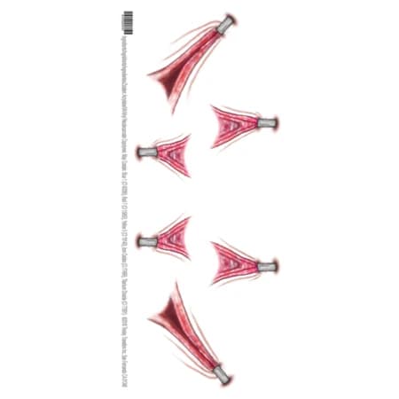 Stretched FX temporary tattoo sheet showing the 6 wound designs