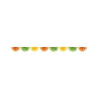 Citrus Fruit Paper Fan Garland 2.43m