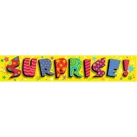 Surprise Giant Party Banner (31x150cm)**