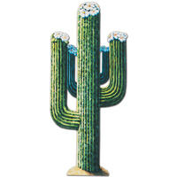 Jointed Cactus - 1.3m high
