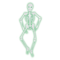 Mr. Bones-A-Glo Skeleton - 152.4cm