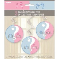 Gender Reveal Baby Shower Hanging Decorations