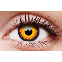 Orange Werewolf Contact Lens (1-Day)