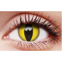 Cat's Eye Contact Lens (3-Month)