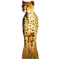 Cheetah Self Standing Prop