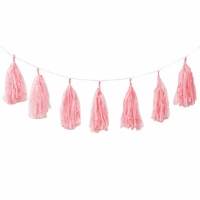 Classic Pink Tassel Garland - 12 tassels - 3m long