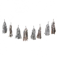 Metallic Silver Tassel Garland (300 cm)