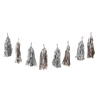 Metallic Silver Tassel Garland - 12 tassels - 3m long