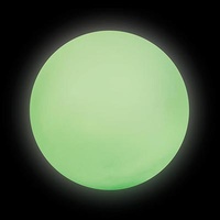 Glow In The Dark Balloon Ball