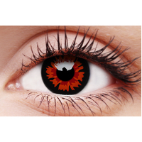 Volturi Contact Lens (1-Day)