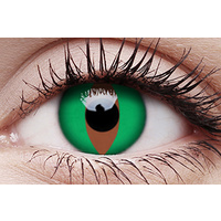 Raptor Contact Lens (3-Month)