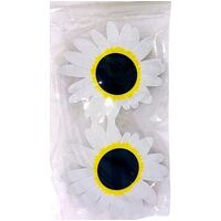 Daisy Glasses
