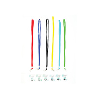 Lanyard - Asst Colours*