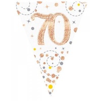 Sparkling Fizz Rose Gold 70 Bunting - 3.9m