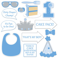 1st Birthday Photo Fun Signs (Blue) - Pk 14*