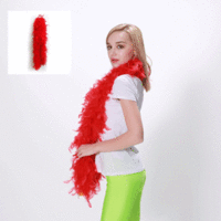 Red Feather Boa - 150cm