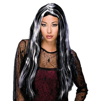 Long Witch Grey Streaked Wig