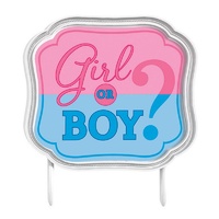 Girl or Boy? Cake Topper