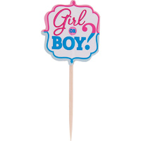 Girl or Boy? Party Picks - Pk 36