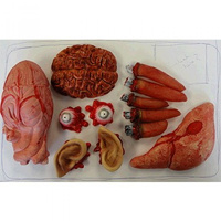 Halloween Meat Market Plastic Body Part Props