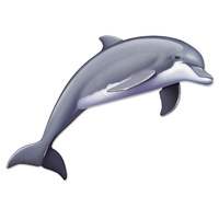 Jointed Dolphin - 152cm*