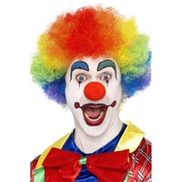 Rainbow Crazy Clown Wig
