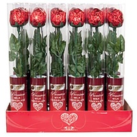 Milk Choc Rose Cylinder 18g
