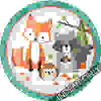 Wild One Woodland 9" Dinner Plate - Pk 8