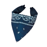 Blue Bandana