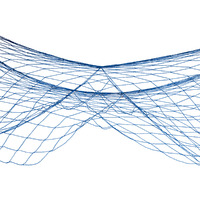 Blue Fish Netting