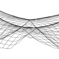 Black Fish Netting