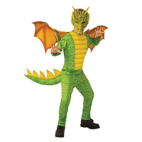 Kids Deluxe Dragon Costume