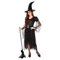 Adult's Witch Of Darkness Costume