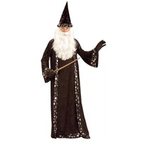 Adults Mr. Wizard Costume