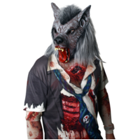 Adult's Wolf Mask
