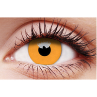 Glow Orange Contact Lens (1-Year)
