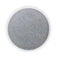 Holo Silver TAG Bio-Glitter (15ml)