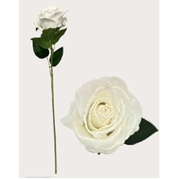 Rose - White Velvet