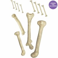 Bag of Plastic Prop Bones - Pk 12