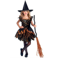 Kids Halloween Spider Witch Costume