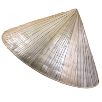 Traditional Asian Conical Leaf Hat