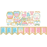The Big Gender Reveal Photo Props - Pk 21