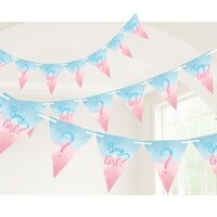 The Big Gender Reveal Paper Pennant Banner (4.5m)