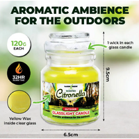 Glass Jar Citronella Scented Candle (120g)