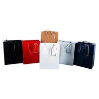 Luxe Embossed Gift Bag (32x26x12cm)
