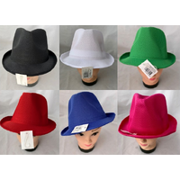 Asstd. Colours Adults Lightweight Fedora