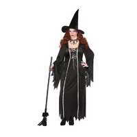 Adults Dark Witch Costume