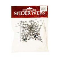 Stretchy Spider Web & 2 Spiders (20g)