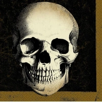 Boneyard Skull Paper Napkins - Pk 16